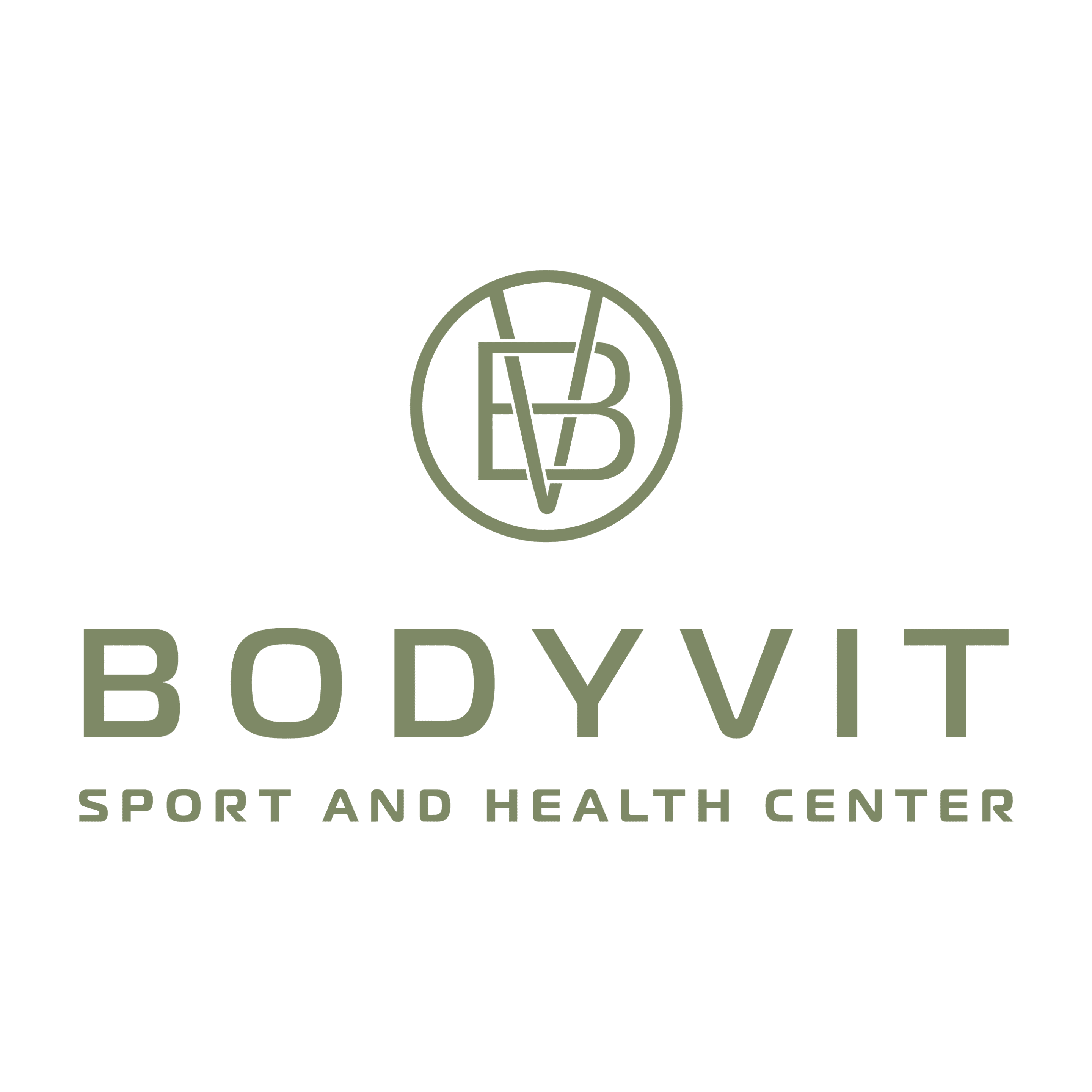 Logo Bodyvit 1